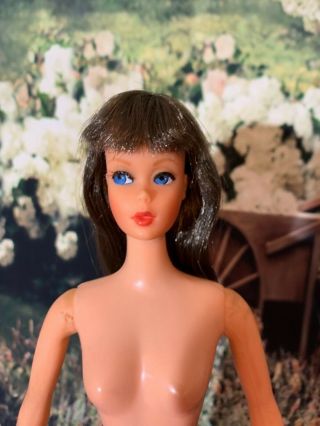 Vintage 1969 Dramatic Living Barbie Brunette Hair MOD Nude 2