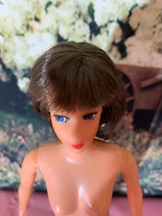Vintage 1969 Dramatic Living Barbie Brunette Hair MOD Nude 3