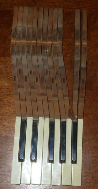 12 Antique Piano Keys From 1898 - 99 Haines Brothers Upright Piano For Arts Craft