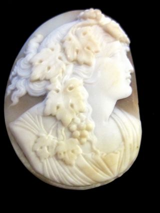Antique Shell Cameo Hand Carved Dionysus Loose