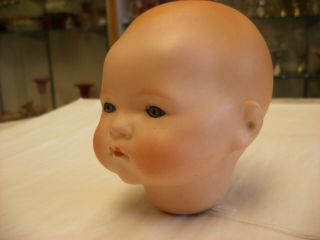 Antique Vtg Am Germany Armand Marseille Bisque Baby Large 5 " Doll Head