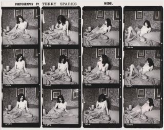 Vintage 1960s Nude,  Contact Sheet By Terry Sparks