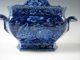 Antique Dark Blue Staffordshire Sugar Bowl Shell Pattern Circa 1825 2