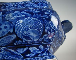 Antique Dark Blue Staffordshire Sugar Bowl Shell Pattern Circa 1825 7