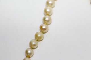 A Lovely Antique Art Deco 9ct White Gold Diamond Clasped Cultured Pearl Necklace 4