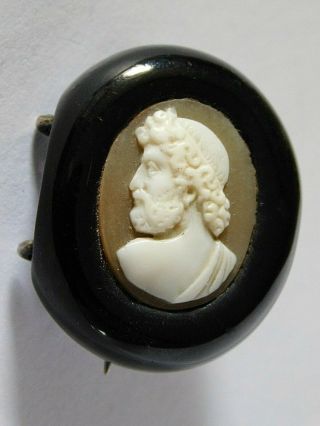 Antique Victorian Carved Shell Cameo Brooch / Pin,  Polished Black Jet? Mount