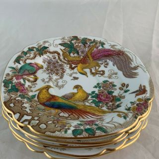 Antique Royal Crown Derby Olde Avesbury Saucer Set 5 Exotic Bird & Flowers