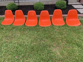 Herman Miller Eames Fiberglass Side Shell Chairs Orange Narrow Mount,  6 Avail
