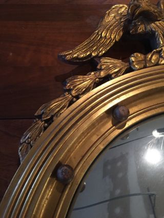 Antique Large Federal Eagle Convex Gold Wood Mirror 3