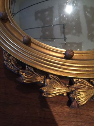 Antique Large Federal Eagle Convex Gold Wood Mirror 5