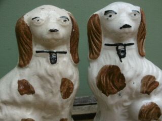 Pr 19thc Staffordshire Brown & White Spaniel Dogs In Sitting Pose C.  1820