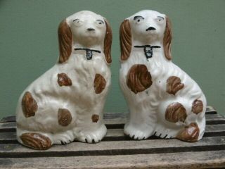 Pr 19thc STAFFORDSHIRE BROWN & WHITE SPANIEL DOGS IN SITTING POSE C.  1820 2
