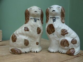 Pr 19thc STAFFORDSHIRE BROWN & WHITE SPANIEL DOGS IN SITTING POSE C.  1820 6