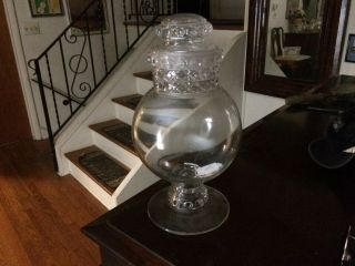 Antique Dakota Glass Drugstore Apothecary Candy Jar 13 1/4 " High