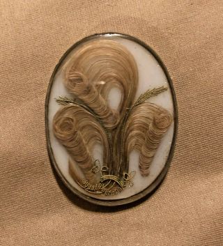 Stunning Antique Mourning Blond Prince Of Wales Curls Hair Under Glass On Glass