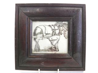 Antique 19th Century Pen & Ink Drawing By G Derby Portrait Of A Shire Horse