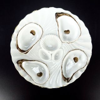 Antique Oyster Plate Registirt German White Porcelain 8.  25 " Gold Trim Dish