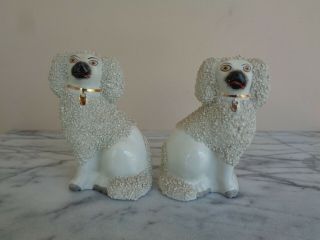 Pair 2 Antique Staffordshire Ware England Poodle Dog Figurines Dog Figurine Set
