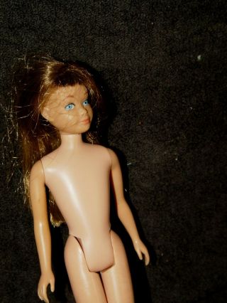 Estate Vintage 1963 Mattel Barbie Auburn ? Brown Hair Skipper Straight Leg Doll 2
