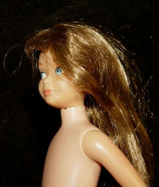Estate Vintage 1963 Mattel Barbie Auburn ? Brown Hair Skipper Straight Leg Doll 4
