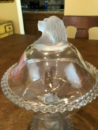 Antique Gillinder Clear Glass Frosted Lion Head Covered Compote - 2