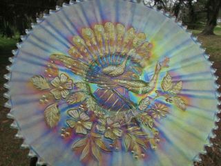 Northwood Peacocks Antique Carnival Art Glass Plate Ice Green Gorgeous