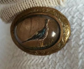 Antique Victorian Reverse Painting Pheasant Oval Brass Pin Goofus Glass