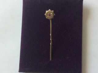 Antique 9ct Gold And Ruby Stick Pin