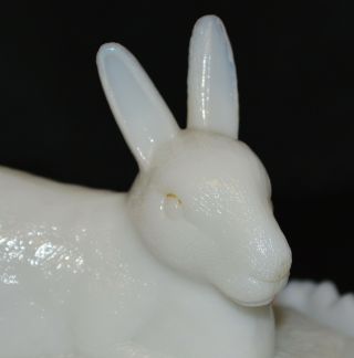 Antique Milk Glass Rabbit / Bunny Covered Dish 3