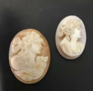 2 Antique Victorian Carved Pink Shell Loose Cameos 1 1/2” & 1”