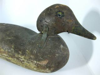 Antique Wooden Decoy,  Mallard,  Carved,  Led Weights Duck The Best One 2