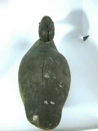 Antique Wooden Decoy,  Mallard,  Carved,  Led Weights Duck The Best One 7