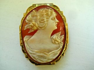 Antique 1.  25 " Carved Cameo Shell Yellow Gold Pin 6.  3 Grams