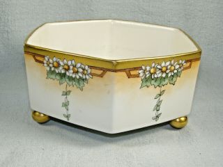 Antique T.  & V.  Limoges 6 Sided Hand Painted Fernery With Daisies