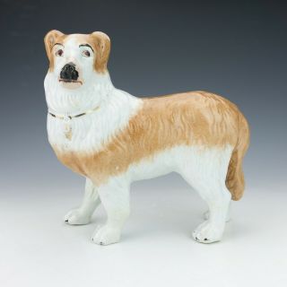 Antique Staffordshire Pottery - Large Collie Dog Figure - Unusual