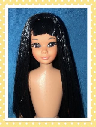 Vtg Ooak Sun Sun Malibu Japanese Exclusive Skipper Barbie Doll Reroot By Niccole