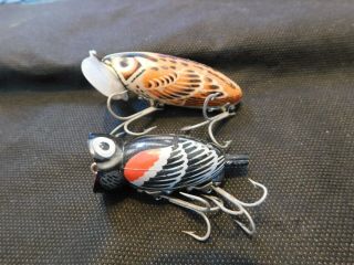 Vintage Fred Arbogast Jitterbug,  Hula Popper Fishing Lure Bird Color