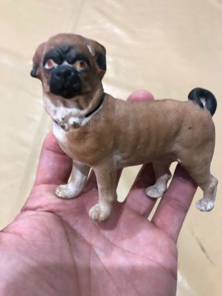 Early Miniature Antique 3” German All Bisque Heubach Pug Dog Small Great Example