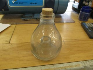 Antique Glass Fly/minnow Trap
