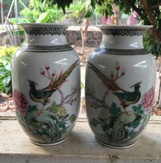 Rare Vintage Jingdezhen Porcelain Vase China Pheasant - Peony Calligraphy 6 "