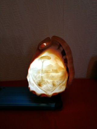 Antique Conch Shell Cameo Carved Mt Vesuvius Scene Lamp Shade Night Light Vtg
