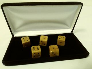 Antique Dice Set Of 5 11/16 " 6 Sided W/ Case