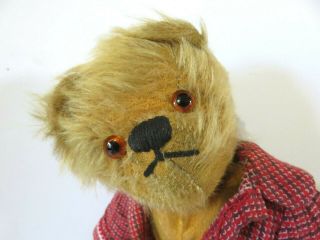 Cute Antique Vintage Teddy Bear With An Upturned Nose