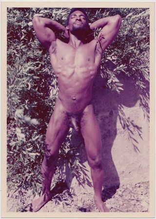 S - D Studio,  Black Male Nude With Goatee,  1970s,  Vintage Color Photo Gay