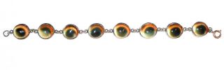 Antique Cats Eye Bracelet W/ 8 Operculum Sea Shells Set In Sterling Silver Ec