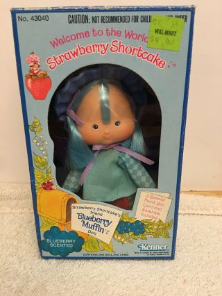 Strawberry Shortcake Blueberry Muffin In The Box Kenner Vintage