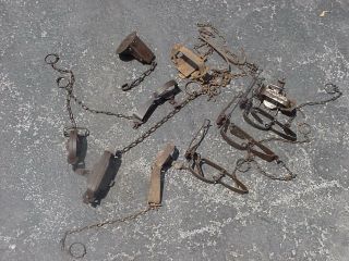 Assorted Antique Vintage User Or Collector Traps,  10 Total,