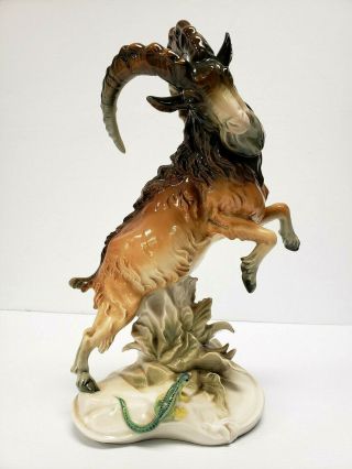13 " Rare & Large Karl Ens Volkstedt Porcelain Ibex Wild Goat Ram Steenbok 1920 