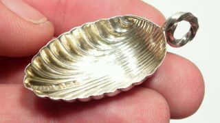 Antique Edwardian Solid Silver Tea Caddy Shell Spoon / Salt Spoon B 