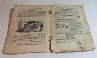 Antique DR.  LESURES Veterinary Remedies Medicine Book 1908 5